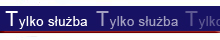 Tylko służba