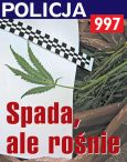 Numer 42 ⁄ 09.2008
