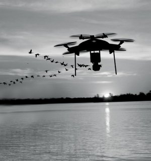 dron  w powietrzu nad zbiornikiem wodnym