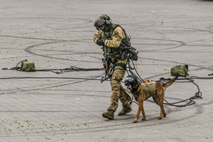 pies i policjant są gotowi do ataku są uzbrojeni