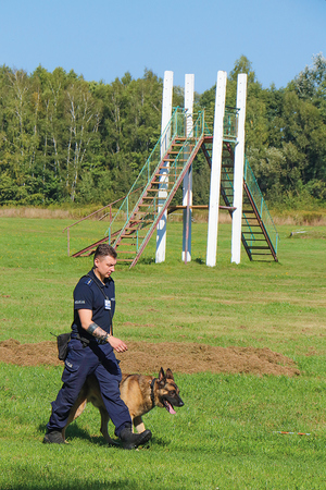 policjant i pies na torze przeszkód