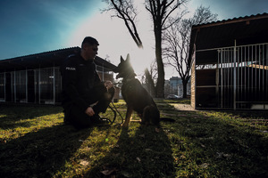 szkolenie psów osmologicznych w szkole w Sułkowicach