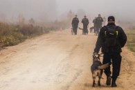 policjanci idą piaszczystą drogą prowadząc psy tropiące