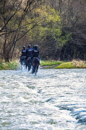 patrol konny przejeżdża przez rzekę widać wodę i jeźdźców od tyłu. oddalają się od fotografa