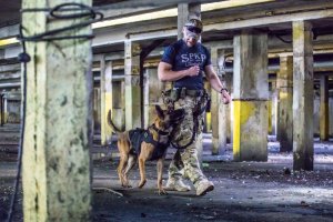 funkcjonariusz BOA idzie z psem w podziemnych garażach