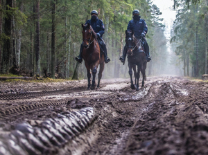 Policyjne patrole konne wielokrotnie uczestniczyły w interwencjach podejmowanych w stosunku do osób, które nielegalnie przekroczyły granicę. Siedzący na koniach jeźdźcy mają lepszą widoczność i z dalszej odległości mogą dostrzec niebezpieczne sytuacje w pobliżu pasa granicznego.