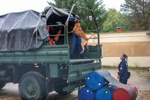 ciężarówka na której stoją osoby i pies. Poniżej stoi policjantka obok duże beczki