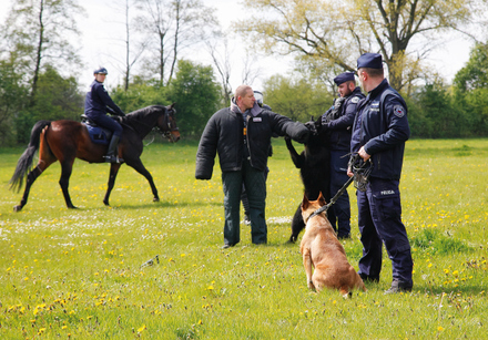 ćwiczenia koni i psow służbowych na terenie Janowa Poldlaskiego