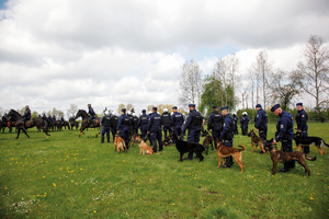 ćwiczenia koni i psow służbowych na terenie Janowa Poldlaskiego