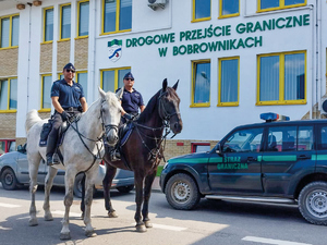 działania policji w kooperacji z innymi państwani UE. Policjanci w radiowozach, na koniach, konferencjach i akcjach dynamicznych