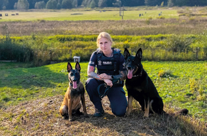 policjantka na łącze z dwoma psami