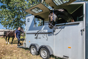transport koni radiowóz przyczepa konie i policjantki