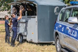 transport koni radiowóz przyczepa konie i policjantki