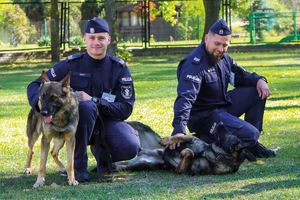 policjanci i psy uczestniczący w zawodach kynologicznych