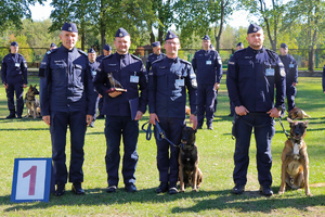 policjanci i psy uczestniczący w zawodach kynologicznych