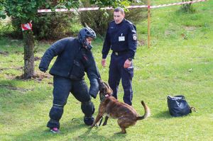 policjanci i psy uczestniczący w zawodach kynologicznych