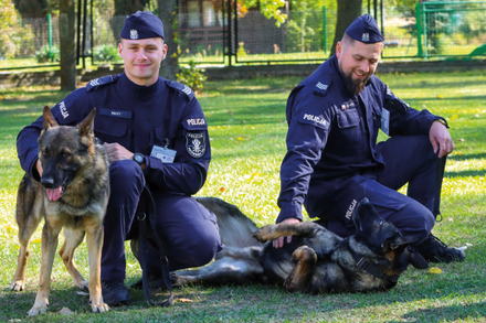 policjanci i psy uczestniczący w zawodach kynologicznych