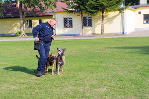 policjant z 2 psami