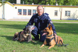 2 psy i policjant na trawie