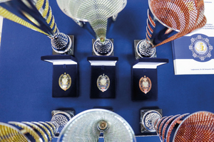 odznaki policjantów oskarżycieli publicznych