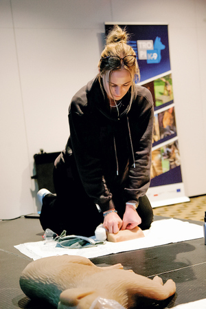 zabiegi ratujące psy potrzebujące pomocy weterynaryjnej