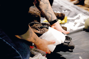 zabiegi ratujące psy potrzebujące pomocy weterynaryjnej