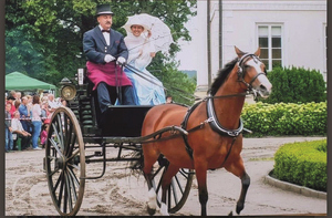 powożący osoba towarzysząca i koń ciągnący bryczkę na pokazach zaprzęgów