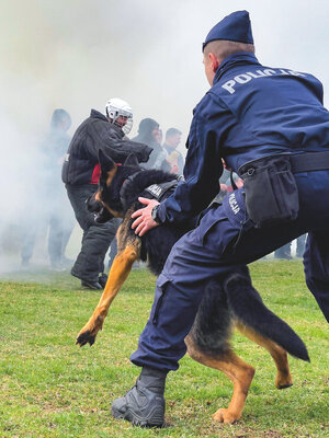 ćwiczenia obrończe na kursie patrolowym