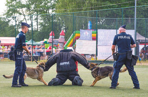 obezwładnianie pozoranta - na zdjęciu dwóch policjantów z psami i pozorant w kaftanie ochronnym