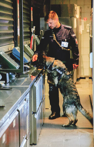policjant z psem podczas szukania