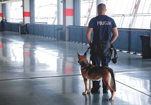 policjant z psem podczas szukania - korytarz stadionu