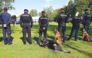 policjanci z psami