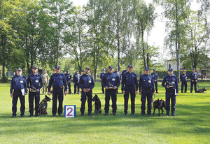 policjanci z psami
