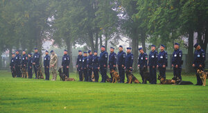 policjanci z psami