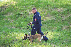 policjant z psem
