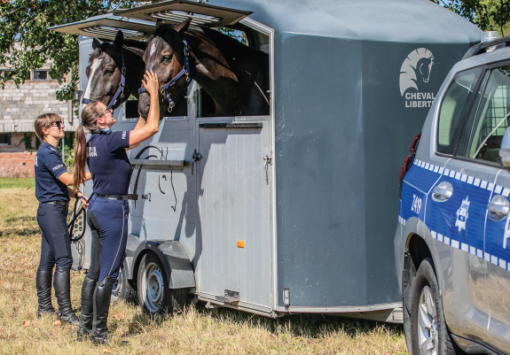 Transport koni służbowych